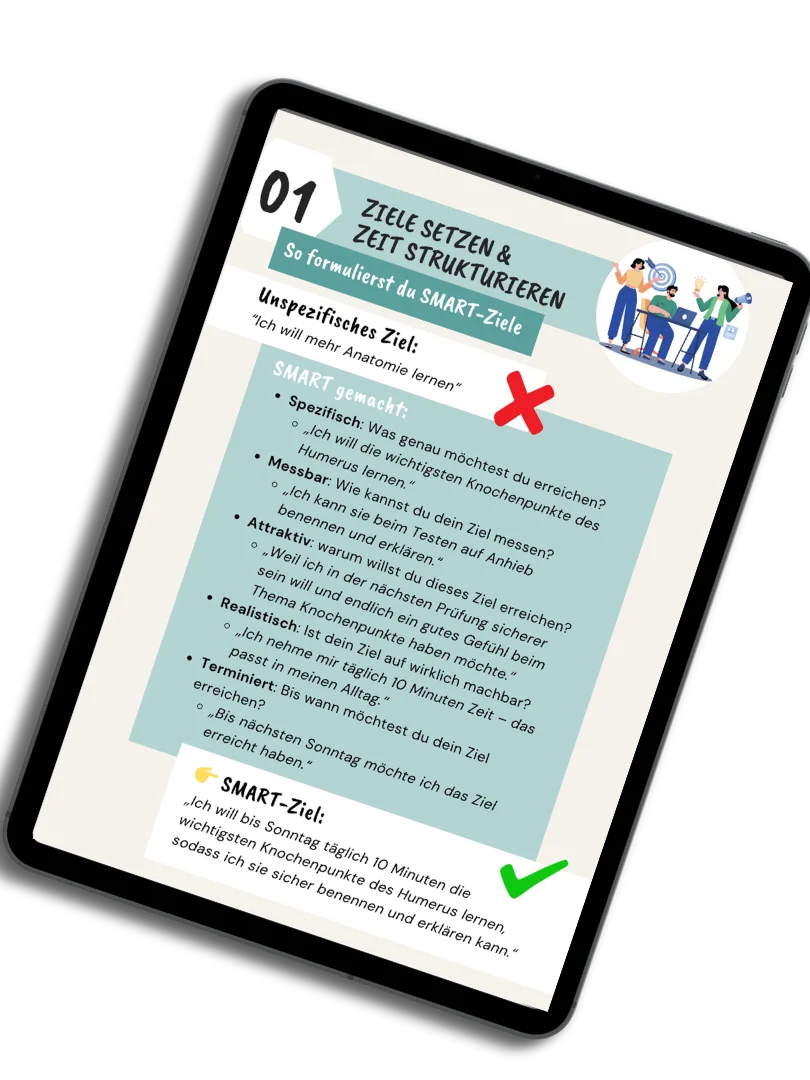 E-Book: Schritt für Schritt zum Anatomie-Profi product image (4)