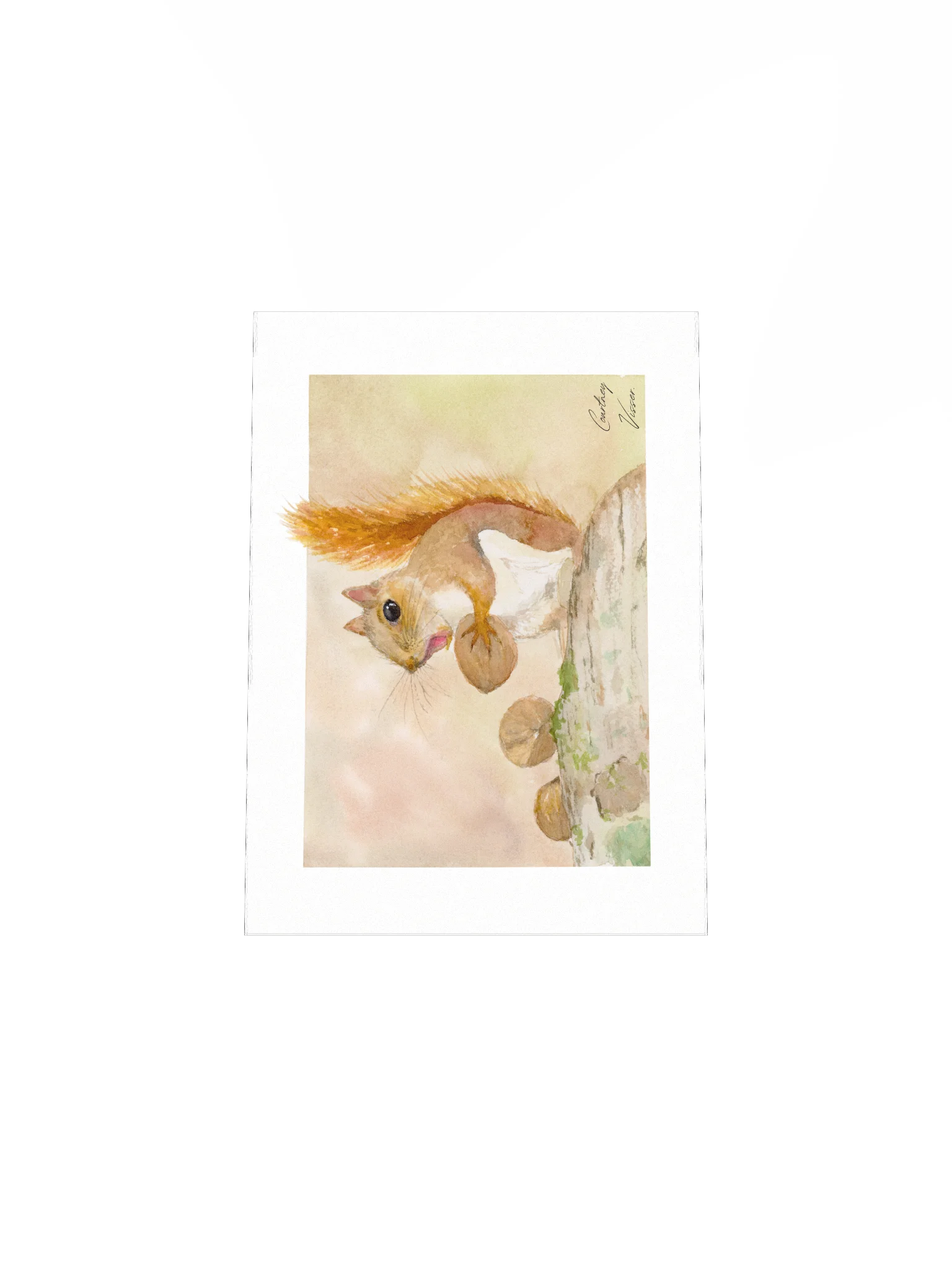 Squirrel print product image (5)