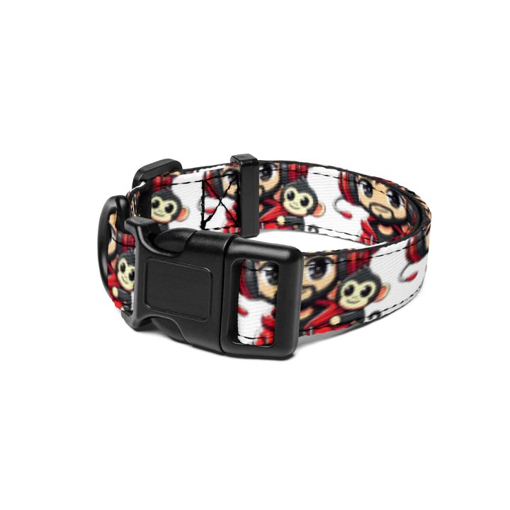 RobbinHudz Pet Collar product image (1)