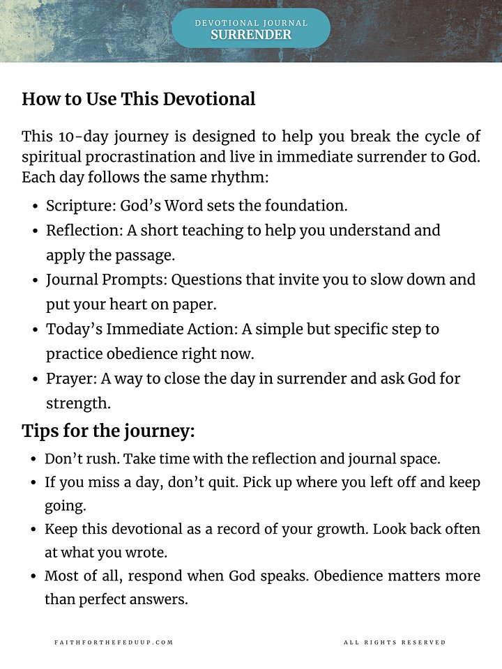 Now Is the Time: A 10-Day Discipleship Devotional on Immediate Surrender product image (2)
