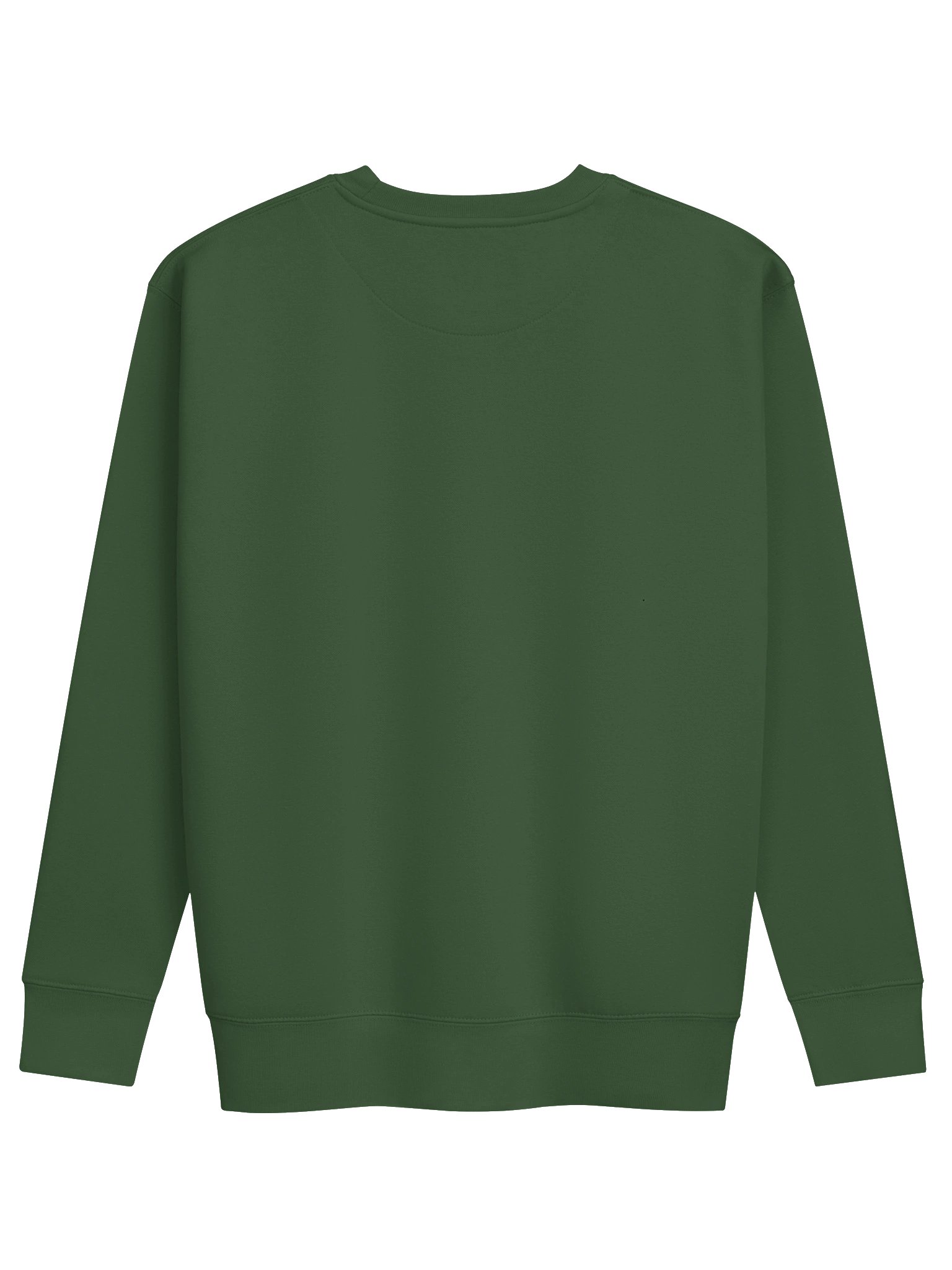 Aurora Crew Neck Sweatshirt product image (50)