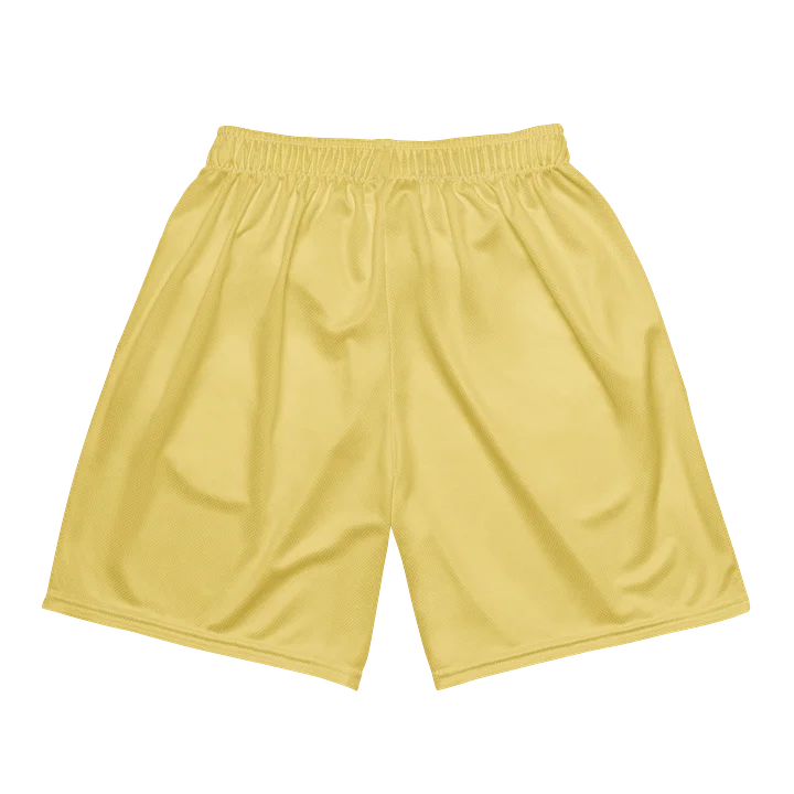 World Cup Underdog Project - Curaçao Shorts product image (2)