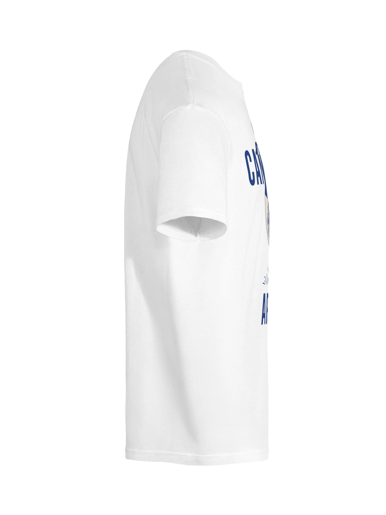 Not All Canadians Are Nice Goose Tee product image (74)