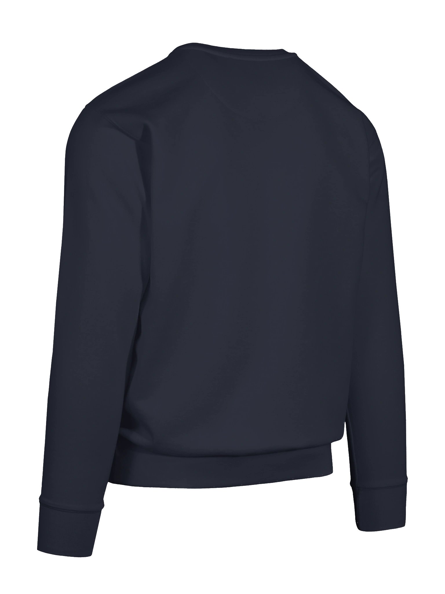 Vivify Classic Crewneck product image (11)