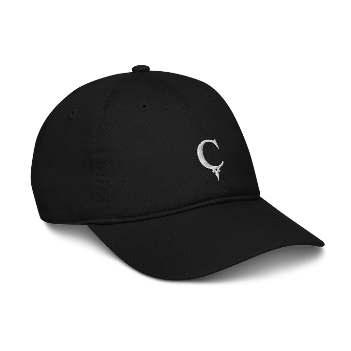 C.ARLING "C" LOGO HAT product image (1)