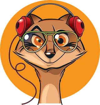 Music Mongoose