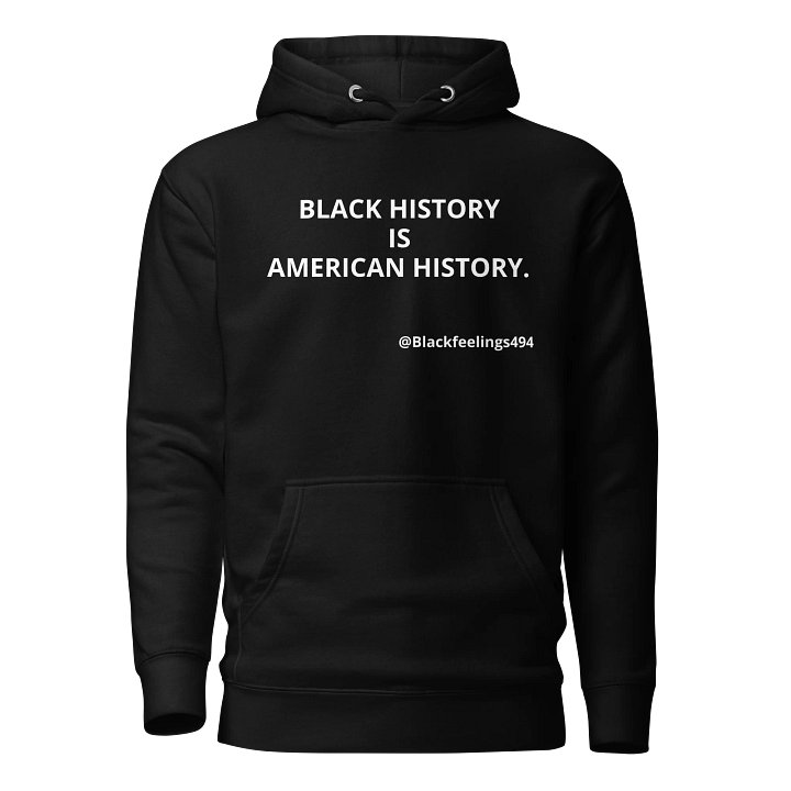 Black History Is American History Hoodie product image (1)
