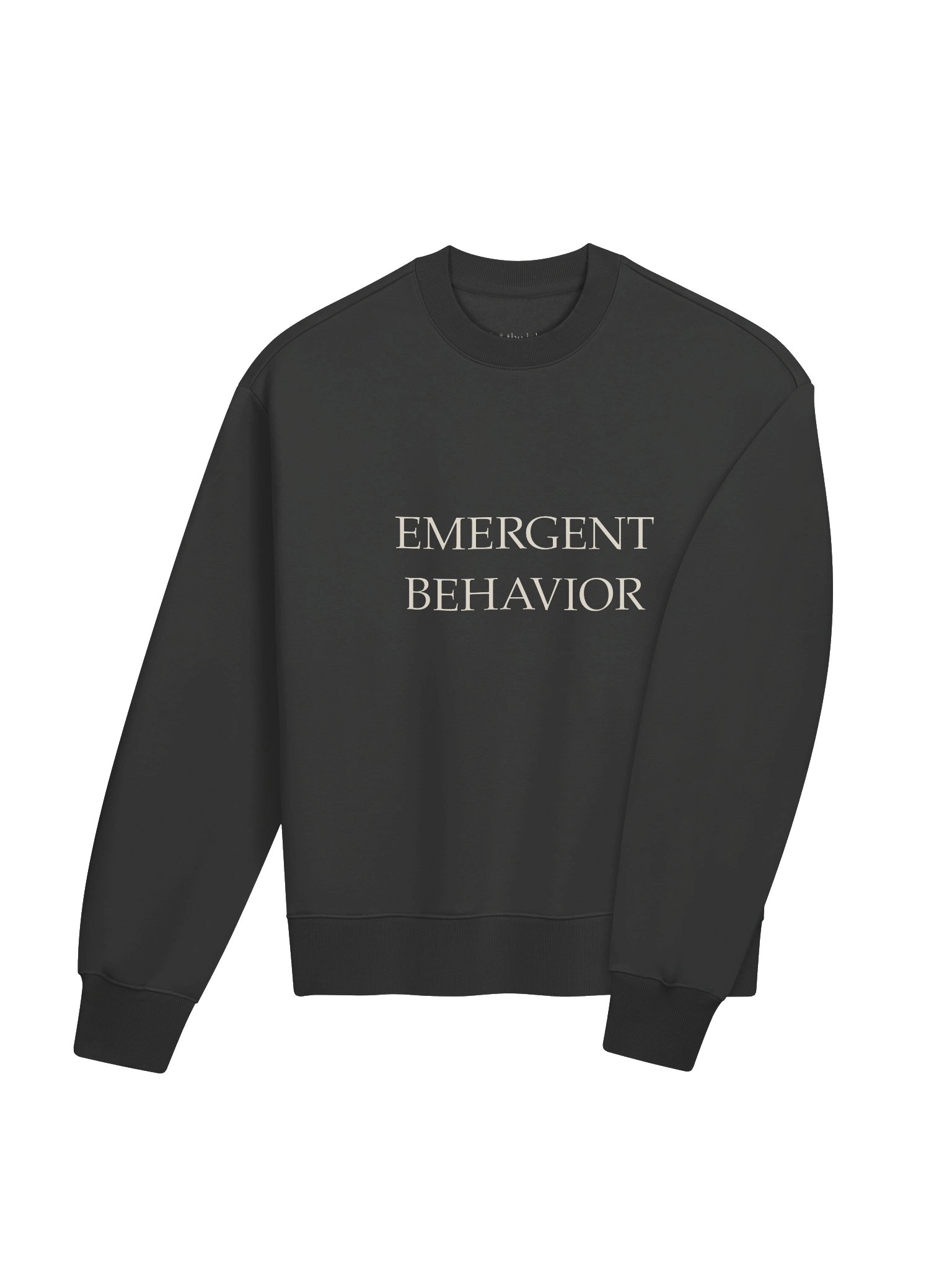 emergent behavior — heavy crewneck product image (4)