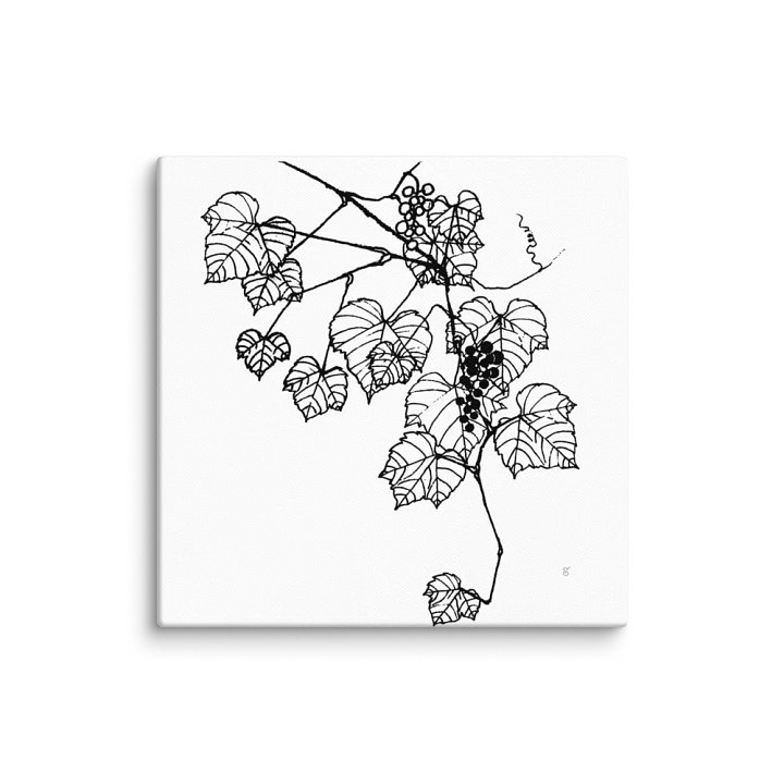 Grapevine Dreams Canvas Print - Grape Leaves Stylish product image (1)