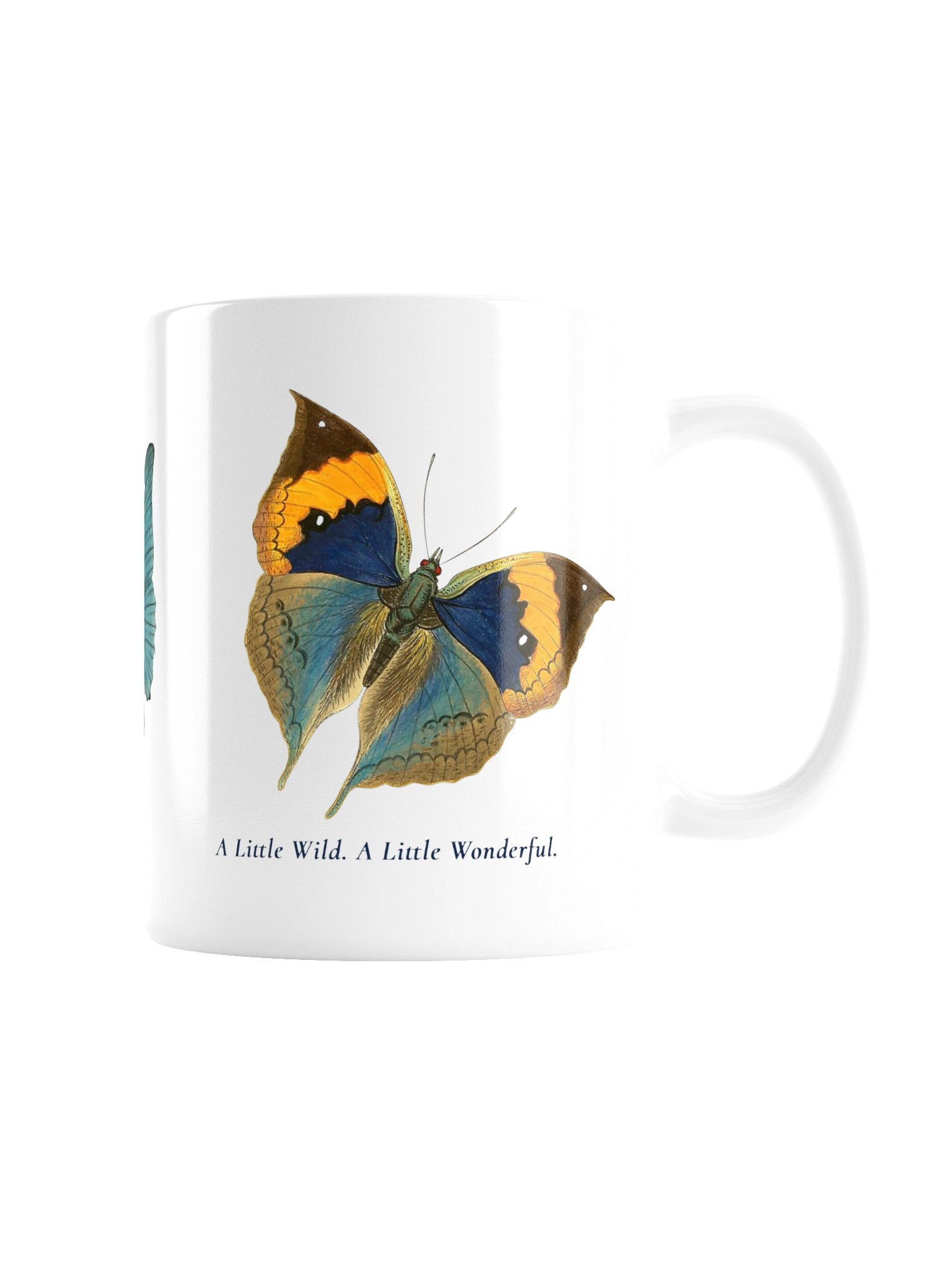 Vintage 3 Butterflys Ceramic Mug - Botanical Art Coffee Cup | BioGardn product image (4)
