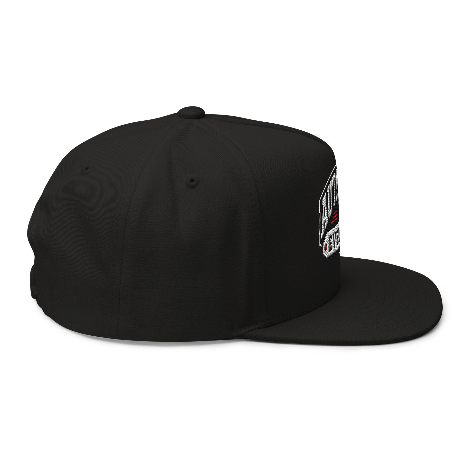 Athletic Logo hat product image (4)