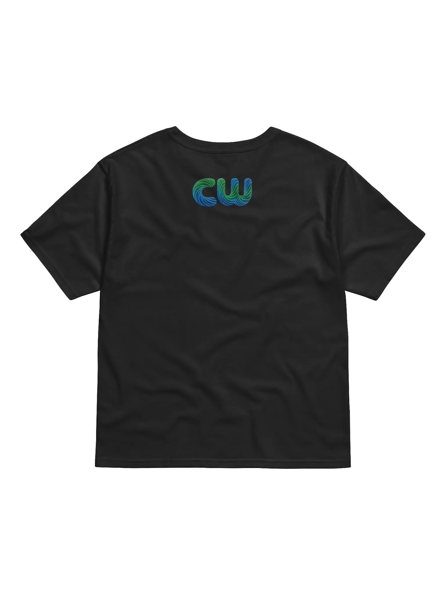 BRO Champion Waves Relaxed T-Shirt product image (5)