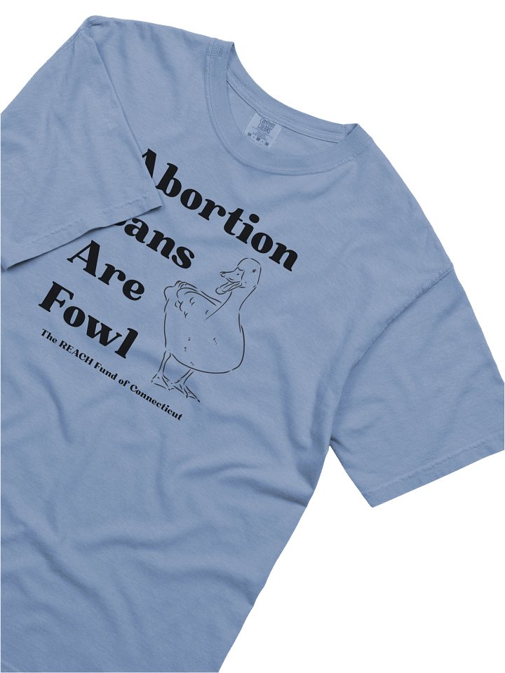 Abortion Bans are Fowl (100% Cotton) product image (2)