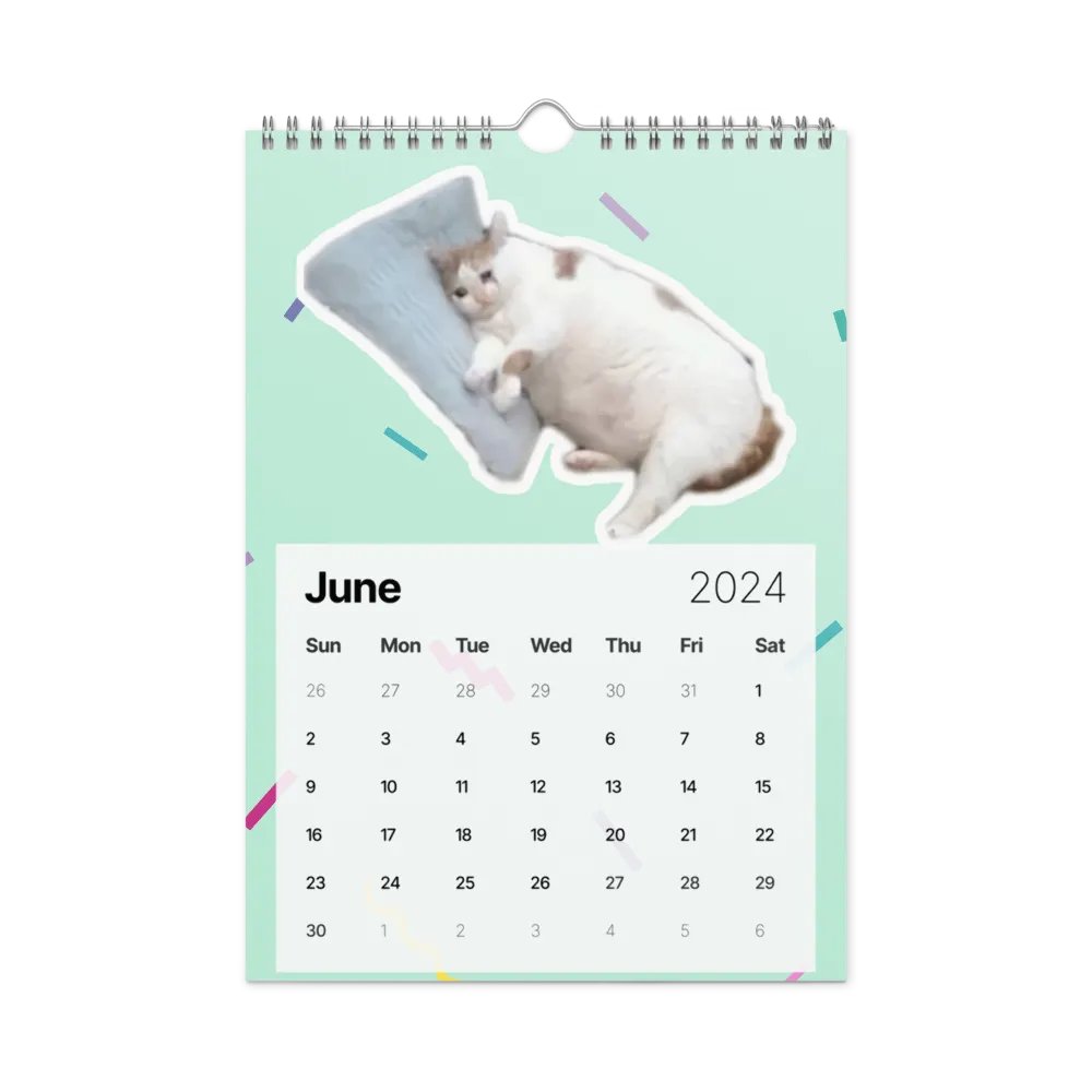 Wall Calendar (2024): Meme Cats product image (12)