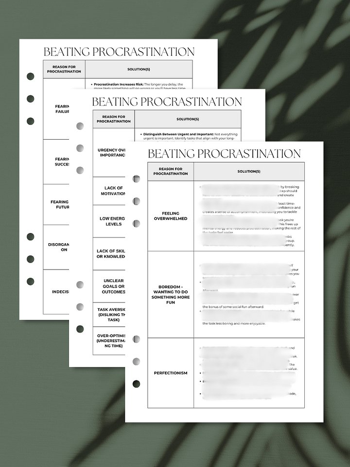 Solutions for Beating Procrastination | A5 Productivity Printable product image (1)