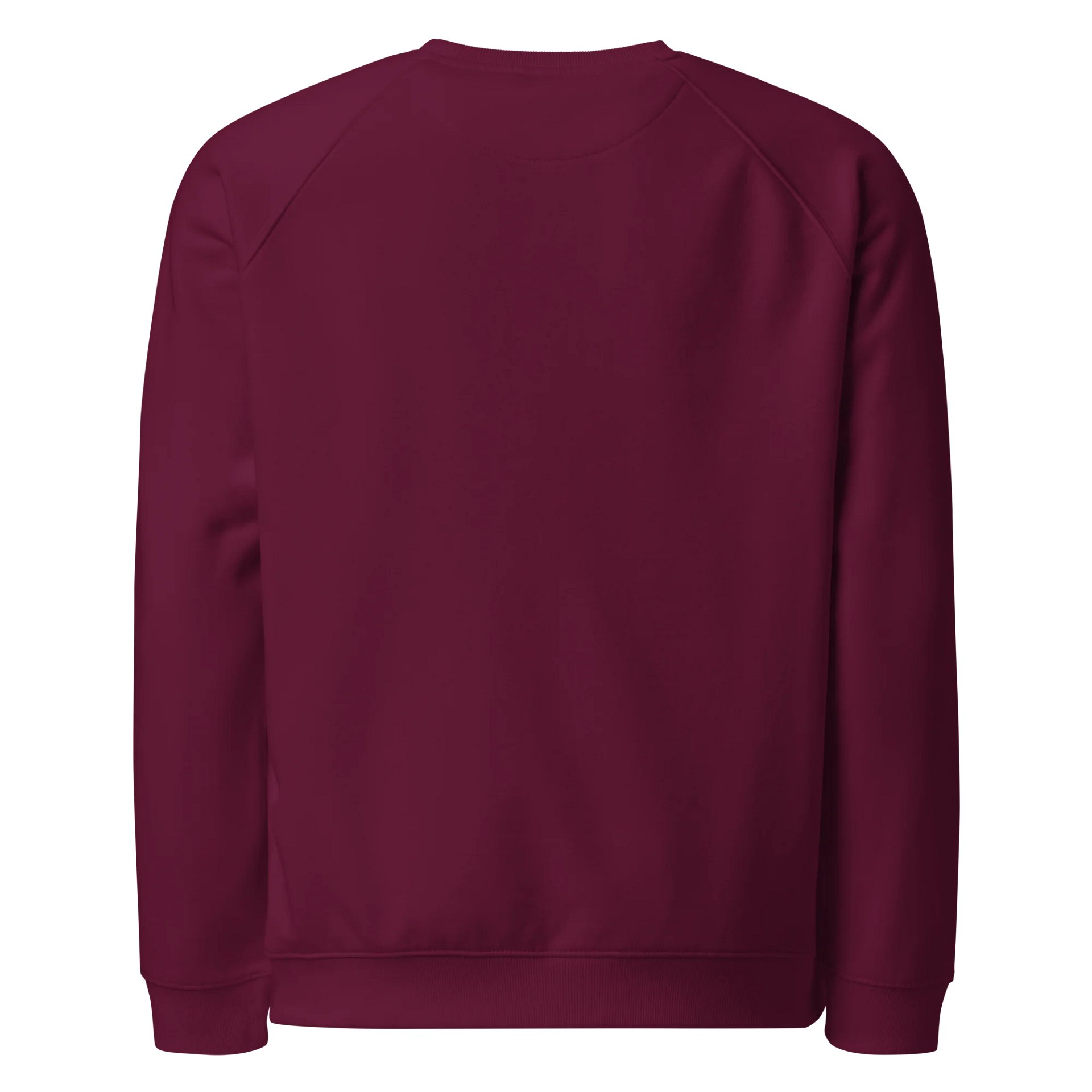 Women's Organic Raglan Sweatshirt ORFB0112 product image (2)