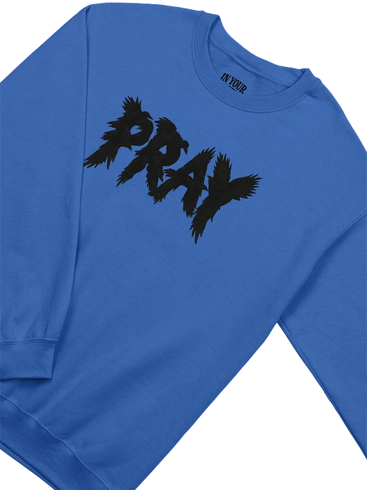 Birds Of Pray Sweatshirt product image (2)