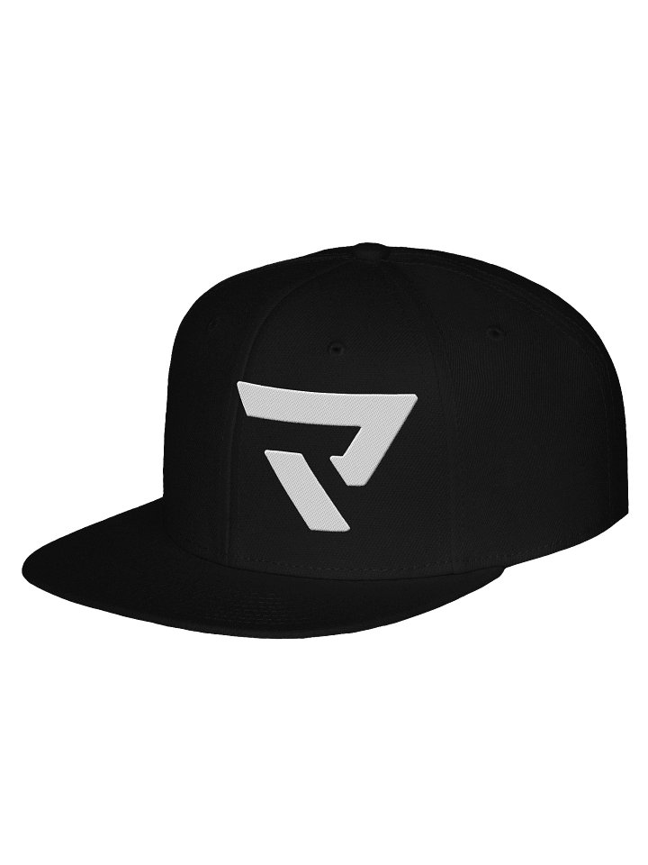 Logo Snapback product image (2)