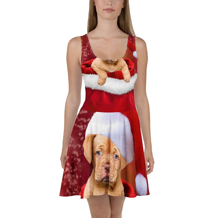'It's Christmas' Santa Paws All-Over Skater Dress product image (2)