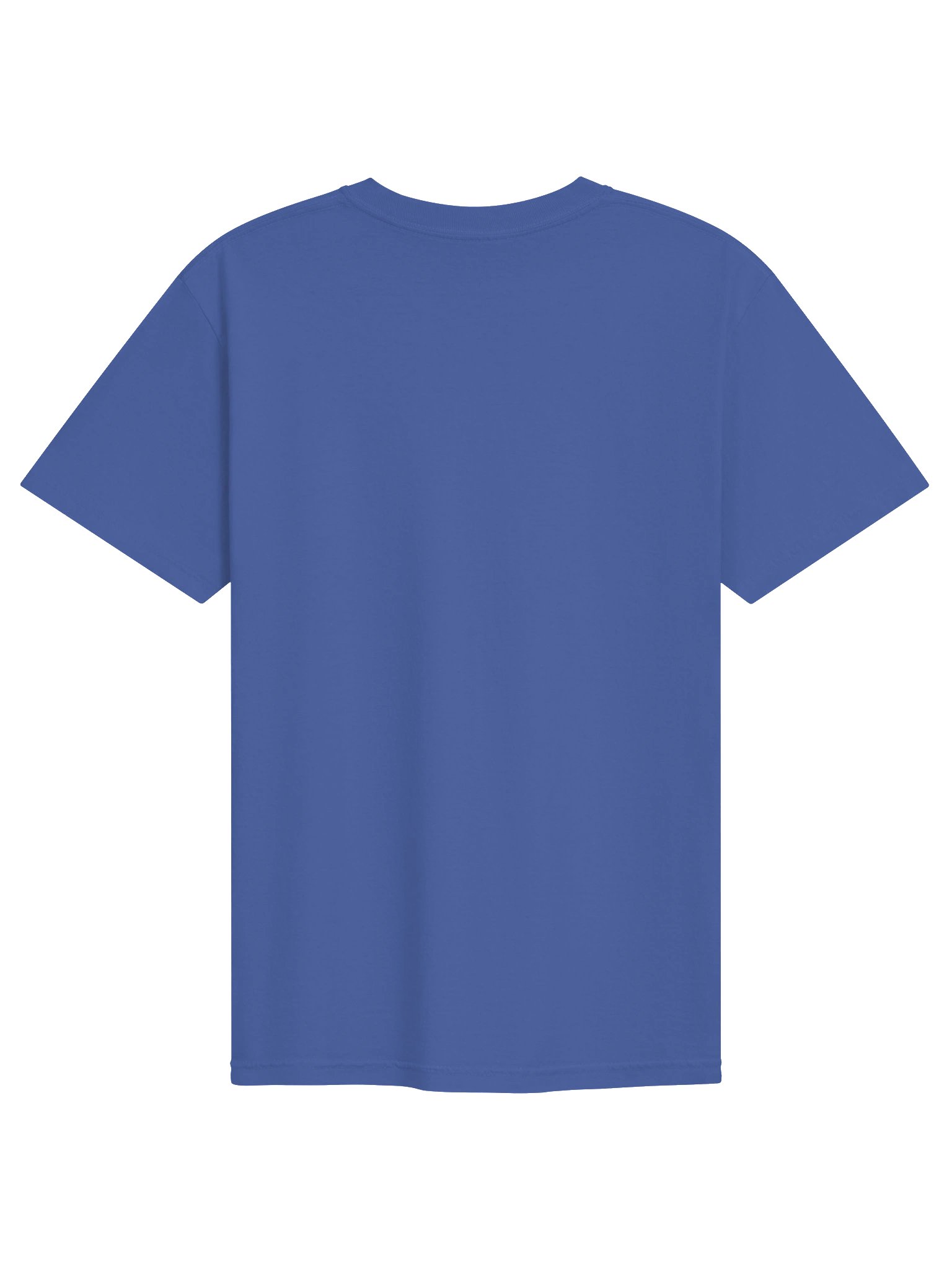 Slanted (T-Shirt) product image (2)