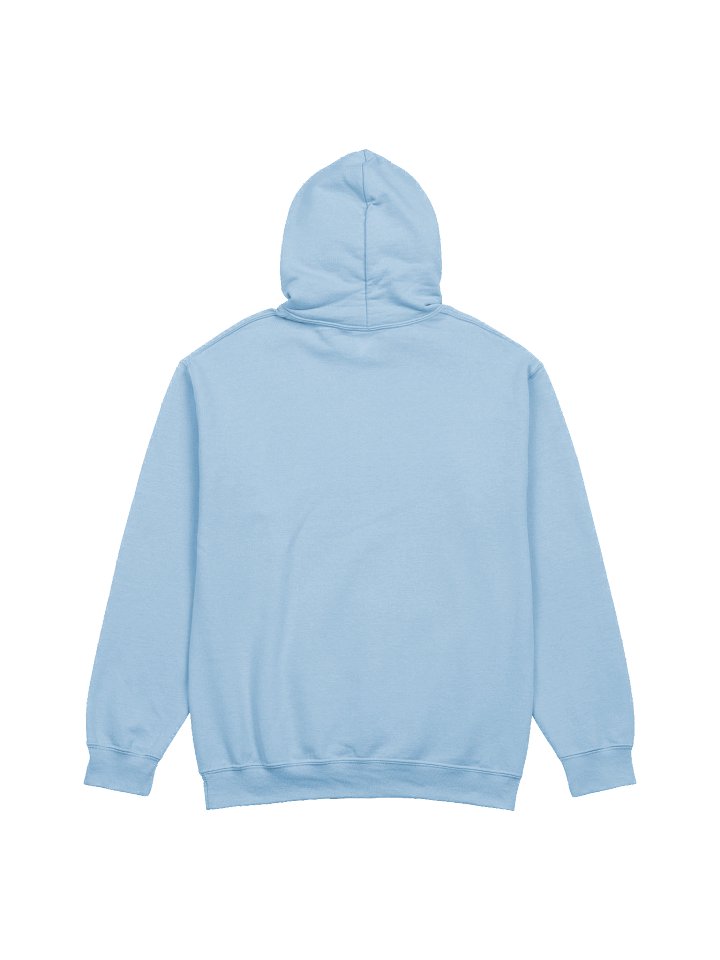 Livin' that Fairytale Life Hoodie product image (10)