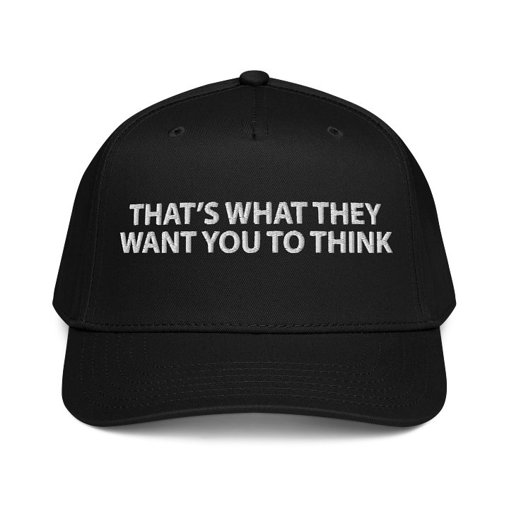 TWTWYTT product image (1)