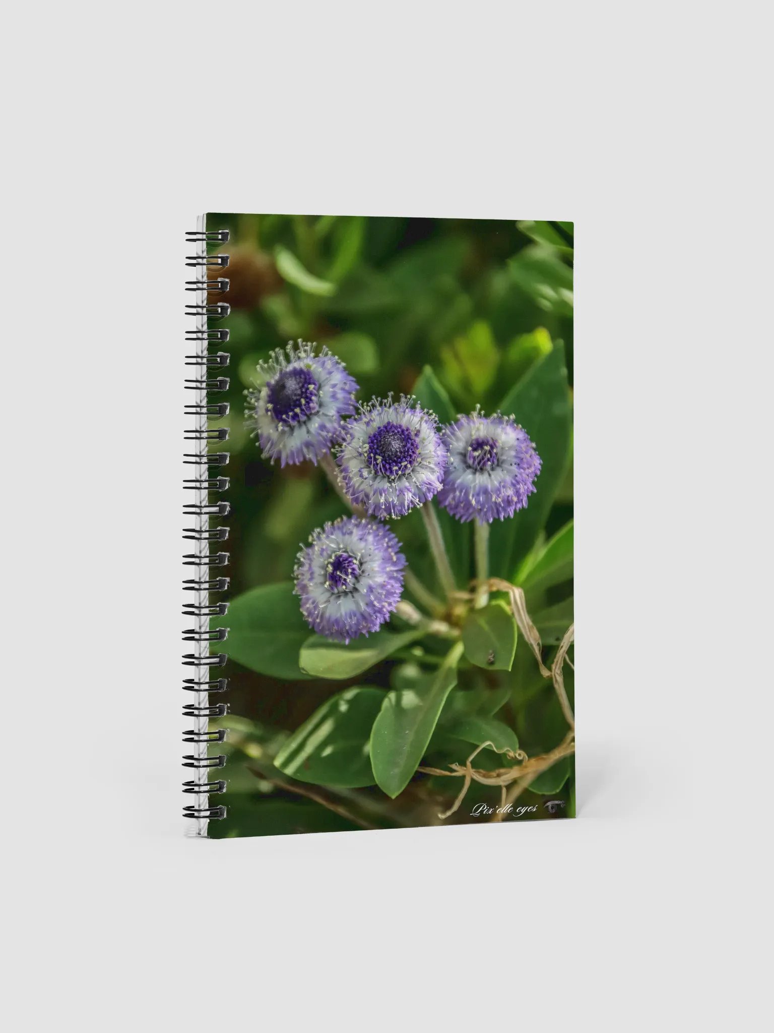 📘 Notebook Collection PURE – Jardin du Rayol – Globulaire maritime product image (1)