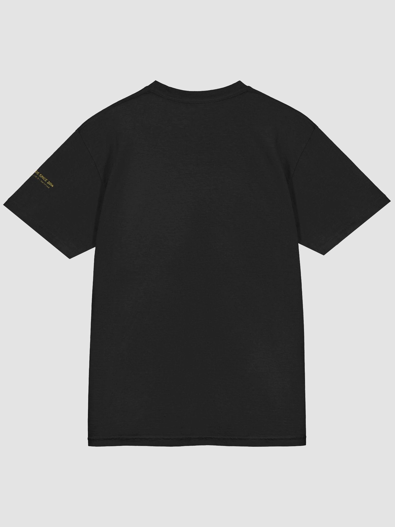 Slippy Slides Patch v2.0 T-Shirt product image (4)