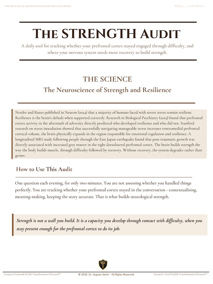 THE STRENGTH AUDIT product image (2)