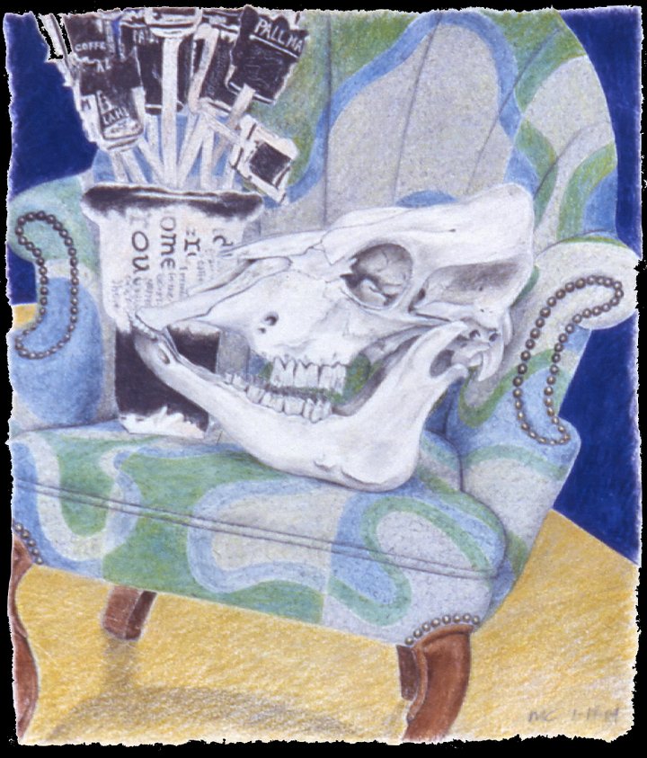 Skull Still Life 12.11.84 print product image (1)