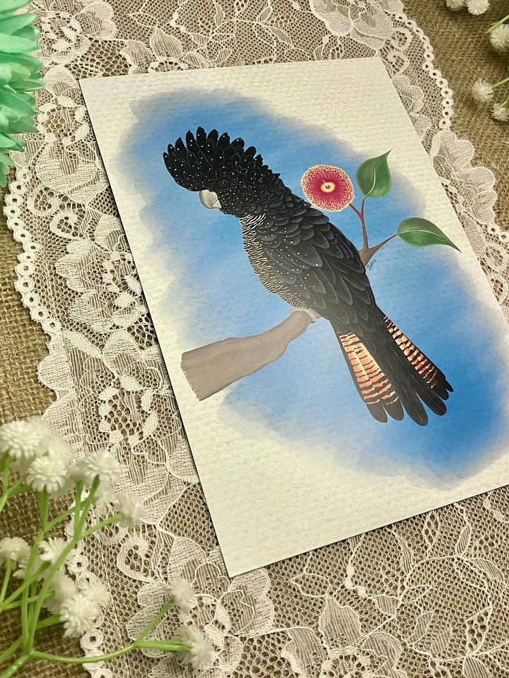 Red Tailed Black Cockatoo Art Print product image (2)