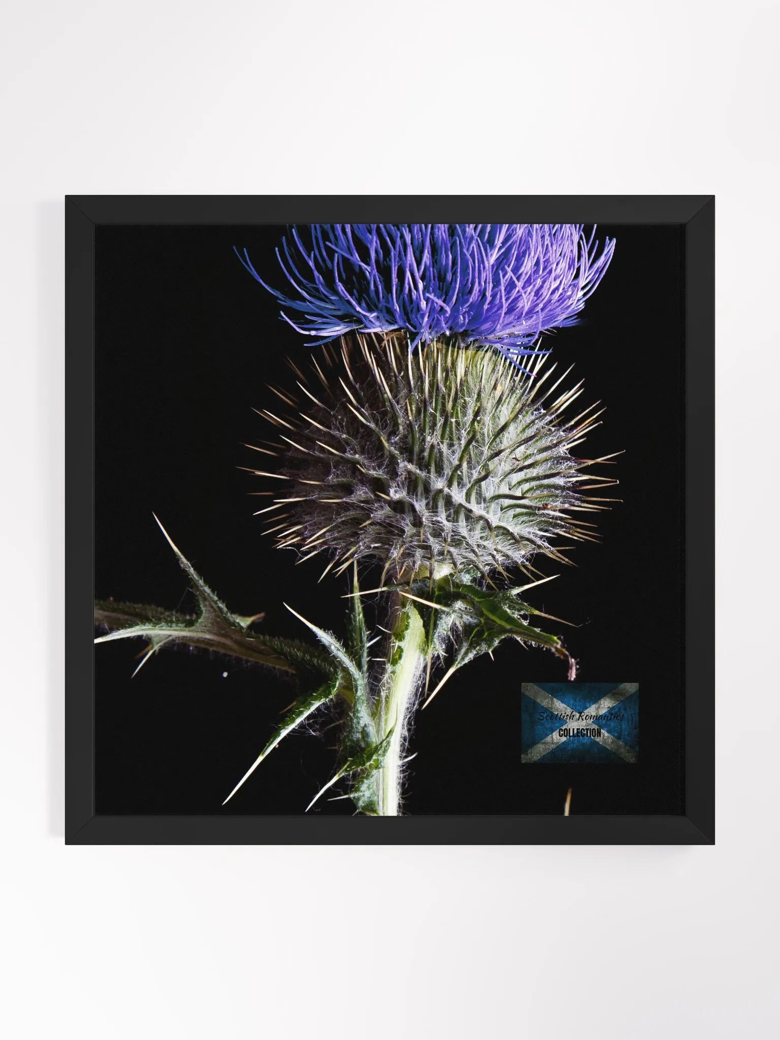 Scottish Romantics Collection product image (1)