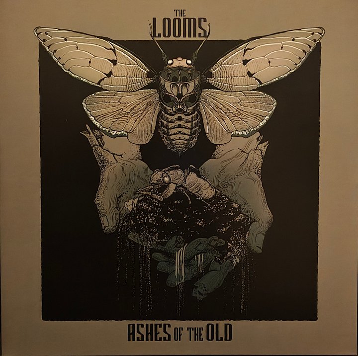 The Looms - Ashes of the Old [2x 12" Vinyl] product image (1)