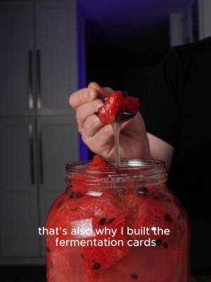 I don’t usually try random fermentation recipes I find online. This watermelon kvass is exactly why. Complete fail. But knowing when a ferment has gone wrong is part of knowing how to ferment in the first place. Full fermentation system + Ferment Cards are linked in my bio. #fermentationfail #watermelonkvass #fermentation #kvass #fermentedfoods #brinelab #dishbydavid