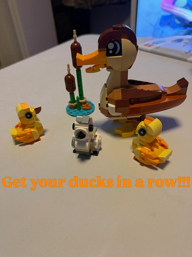 Get your ducks in a row! @lego #lego #legocollector #fyp #foryourpage #spring