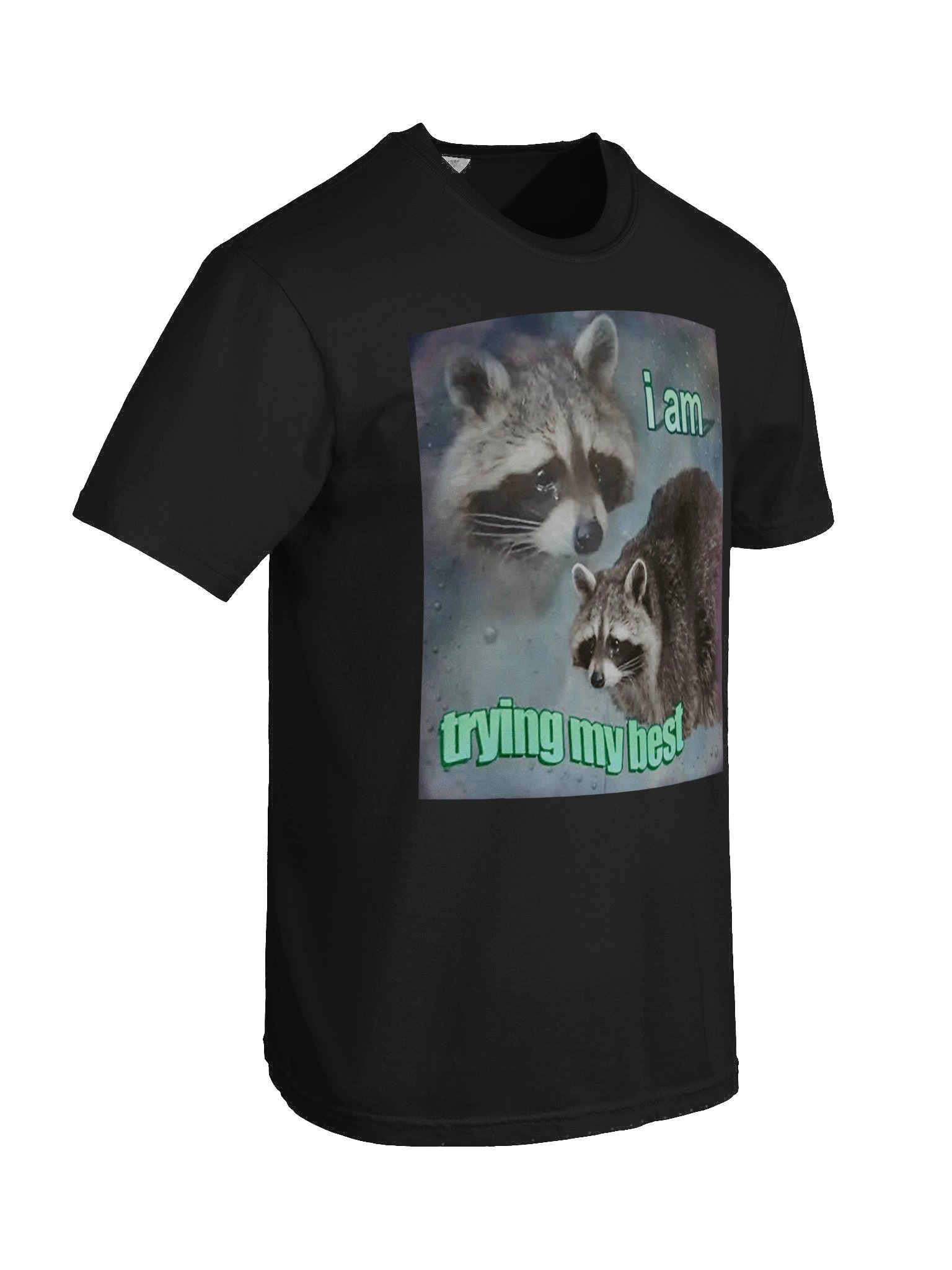 I Am Trying My Best Shirt product image (9)