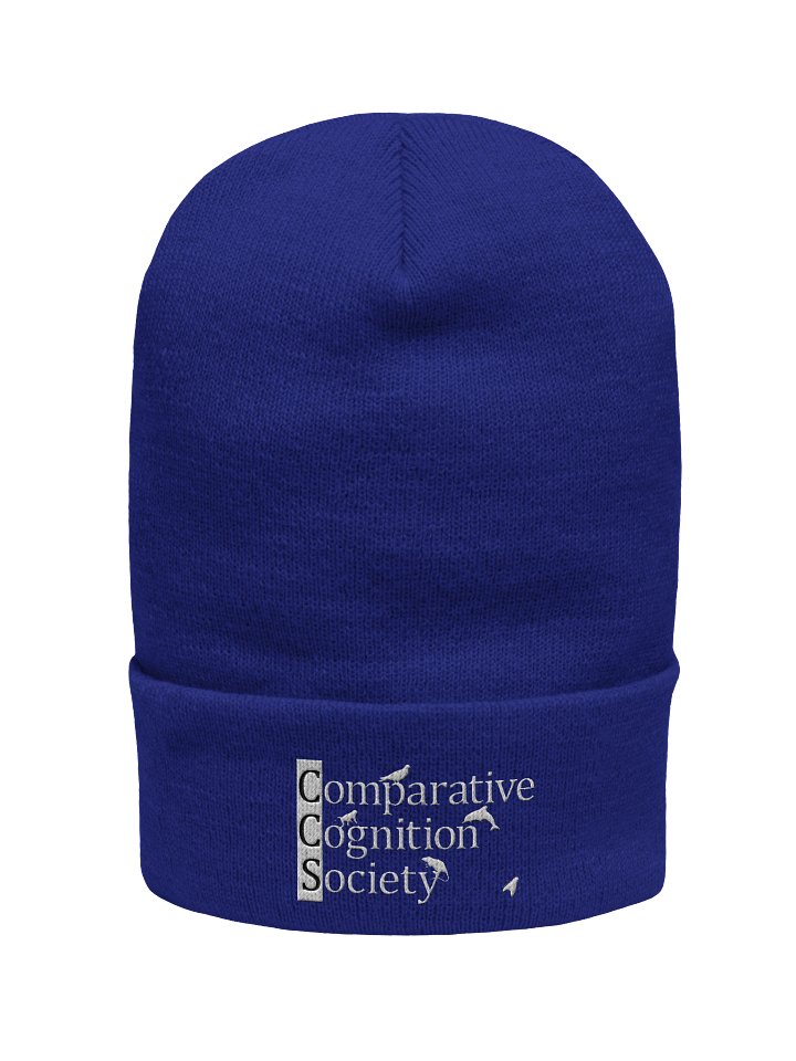 CCS Toque (Style #2) product image (1)