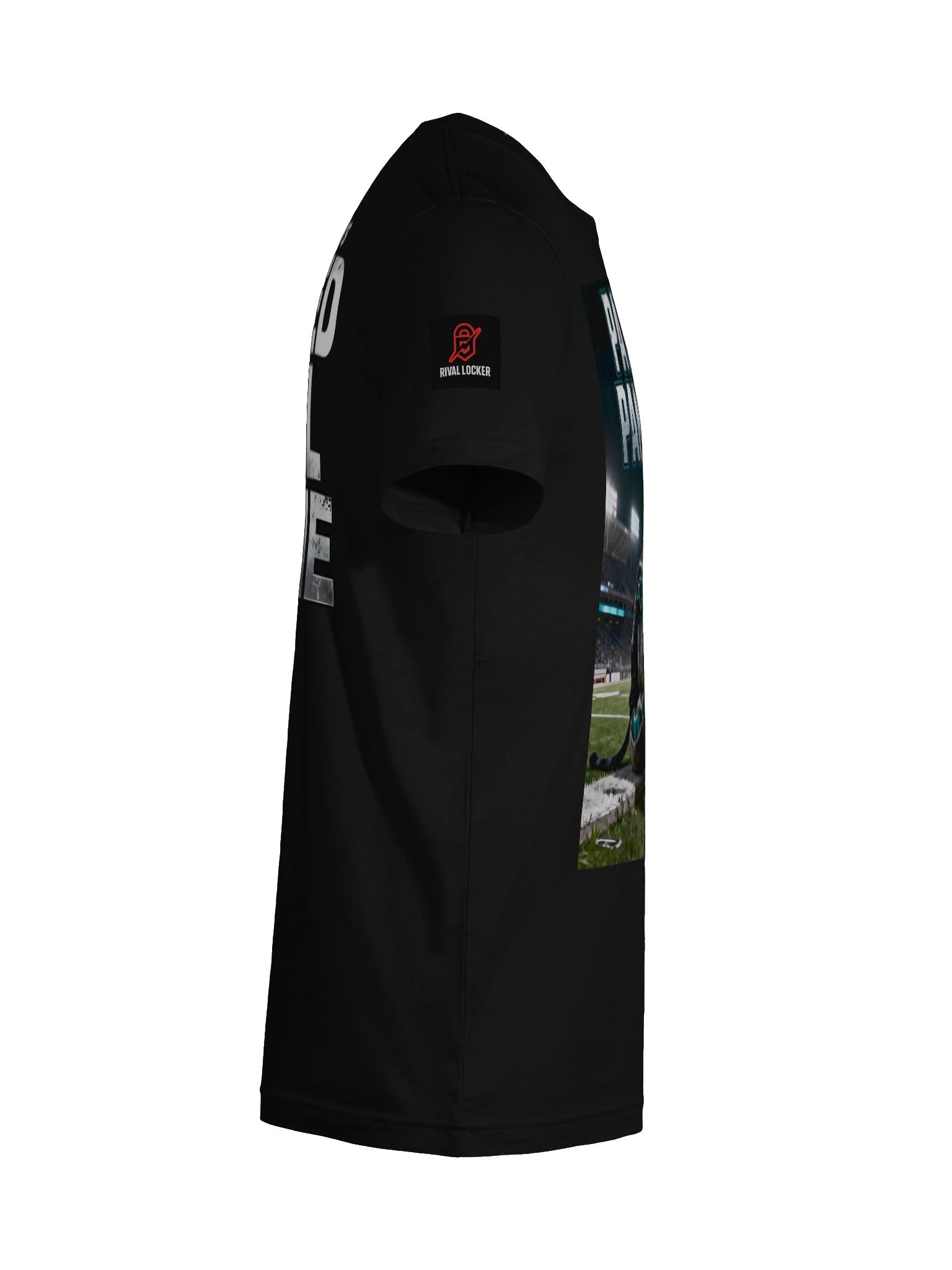 Pathetic Panthers | Carolina | Football | Rival Locker product image (12)