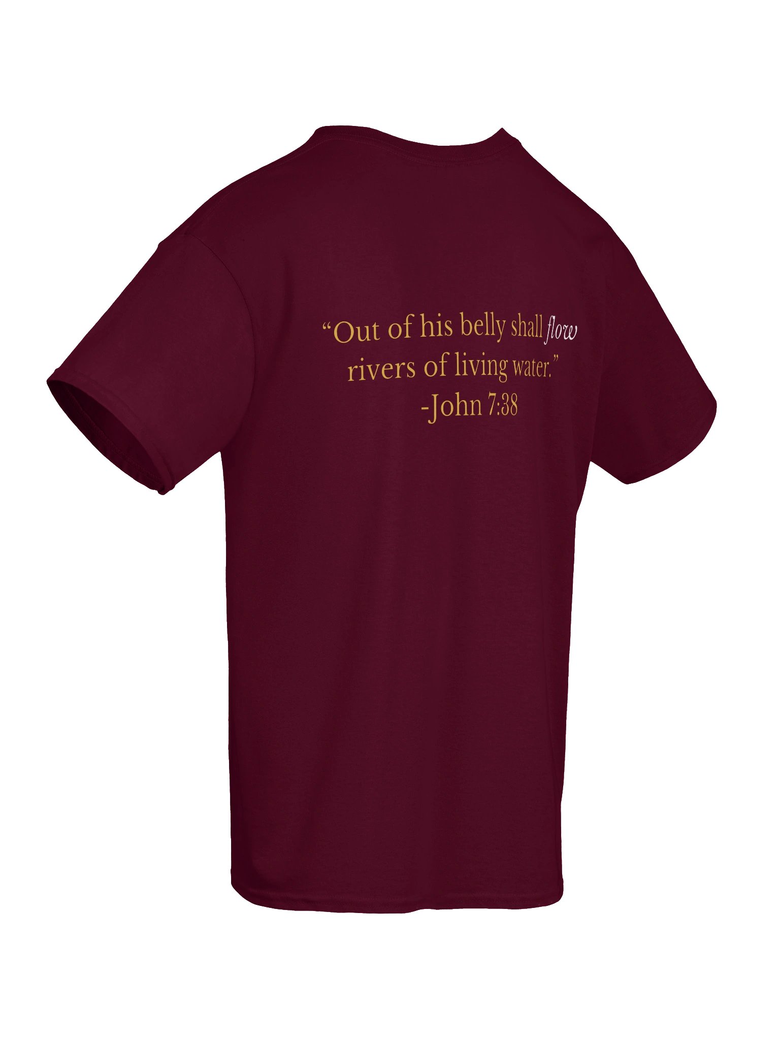 FLOW Worship (verse) tee product image (8)