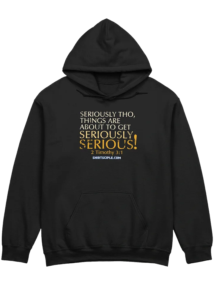 Seriously Serious Hoodie product image (3)