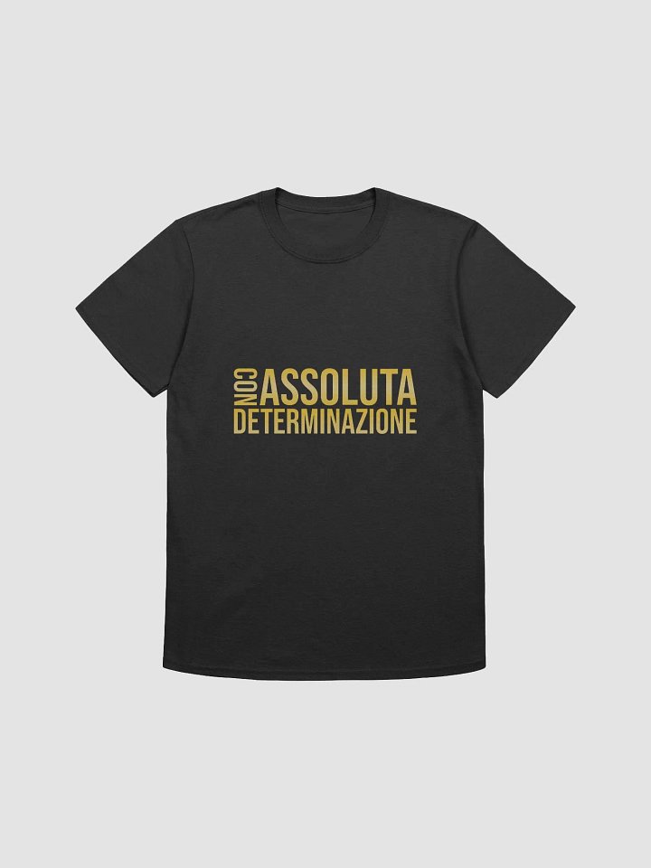 Con assoluta determinazione product image (1)