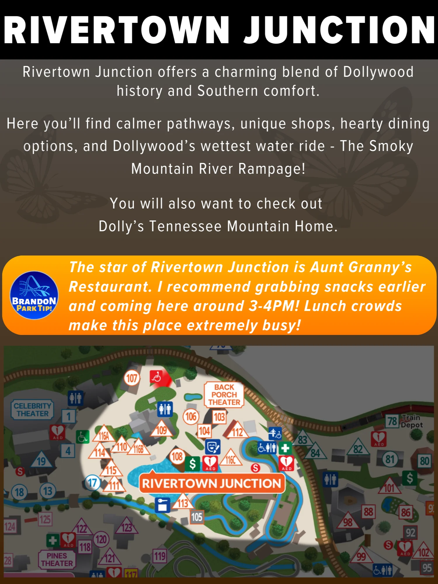Dollywood Ultimate Guide Bundle (2026) | 76-Page Printable Digital PDF + Printer-Friendly Version product image (6)