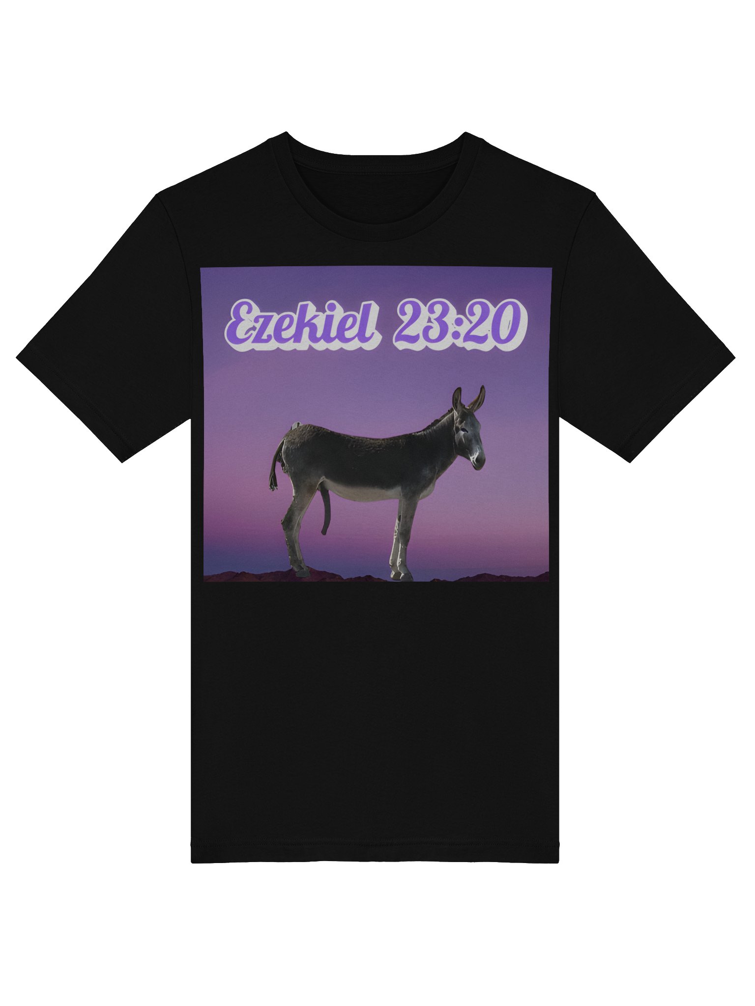 Ezekiel 23:20 Tee Shirt product image (5)