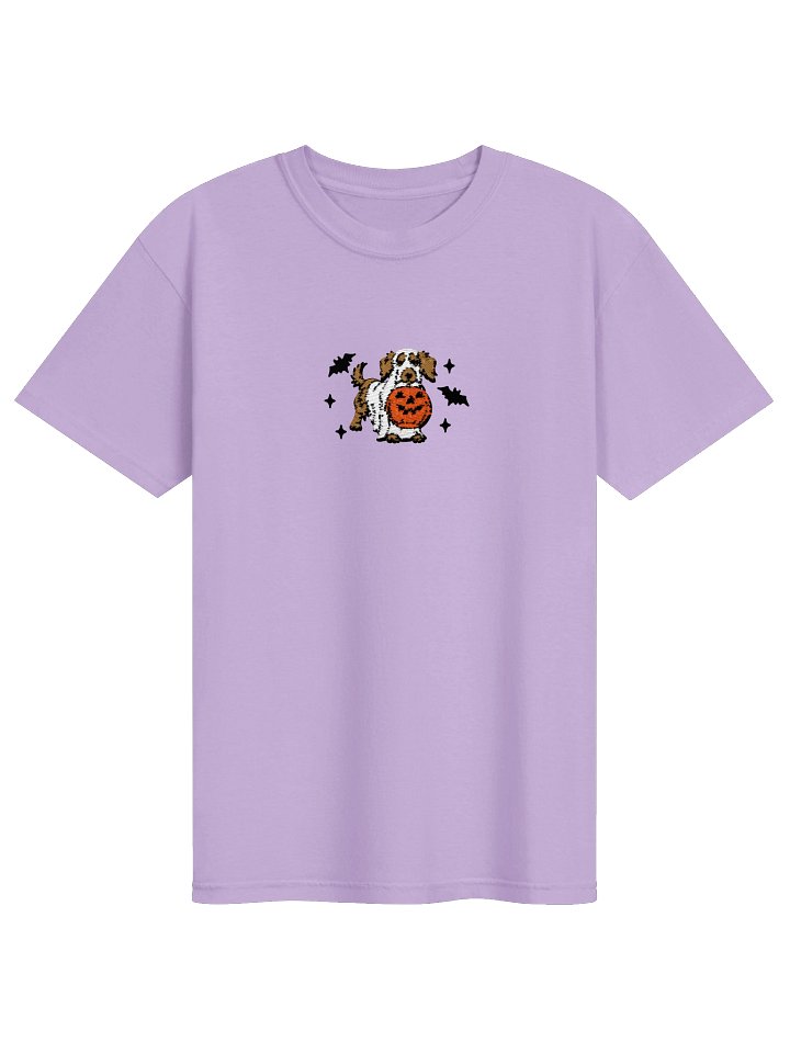 Halloween Longhaired Dachshund(Brown) Embroidered T-Shirt product image (41)
