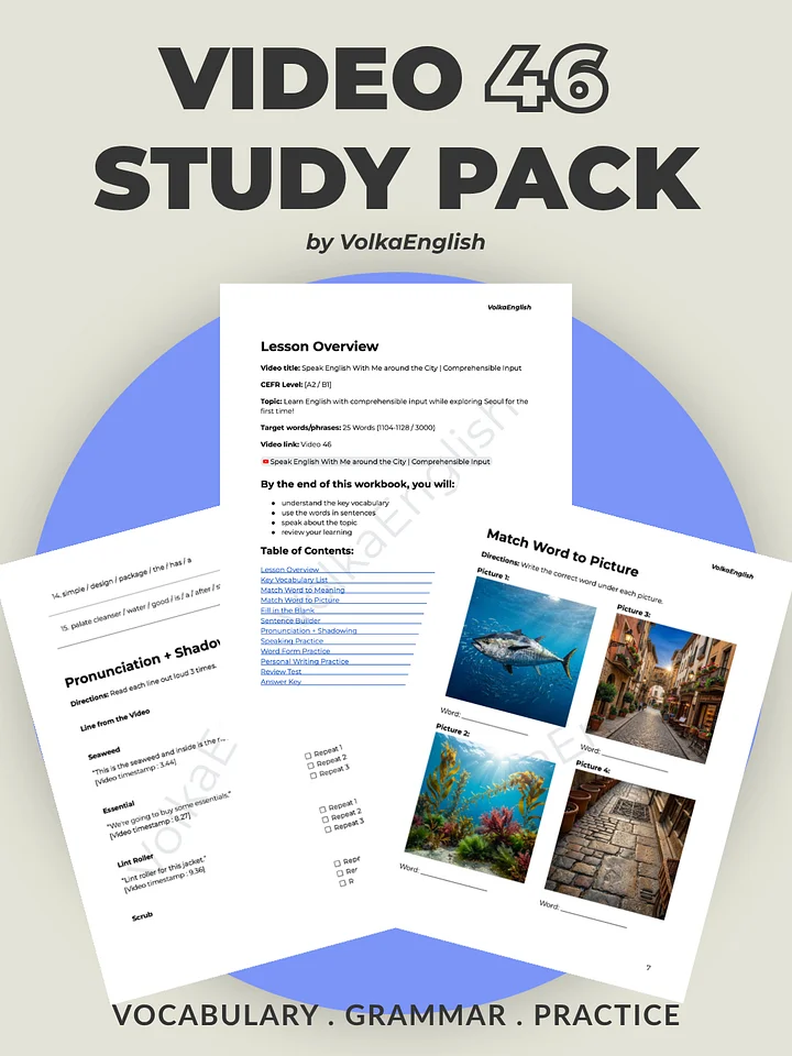 Speak English With Me around the City | Comprehensible Input - Video 46 Study Pack product image (1)
