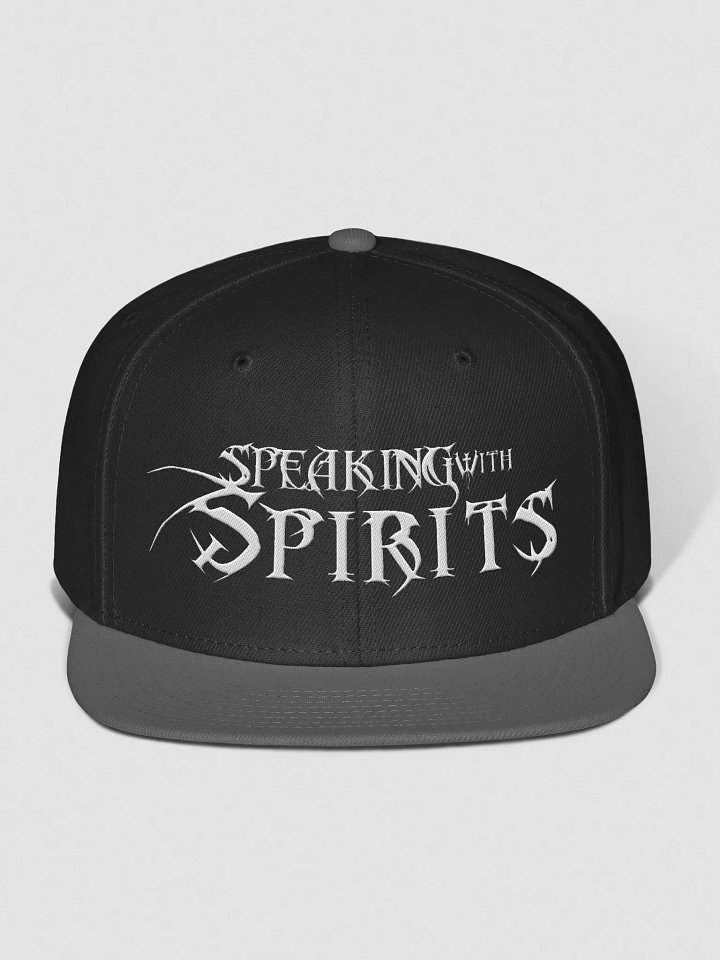 SWS Snapback! product image (1)