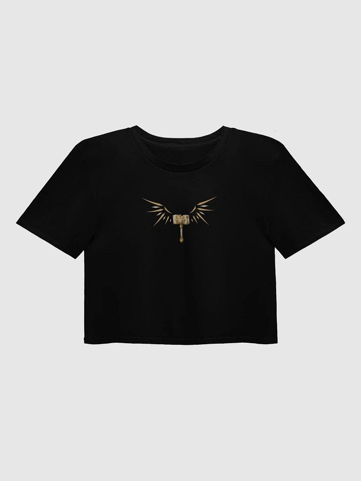 WingsIsUp Crop Top product image (1)