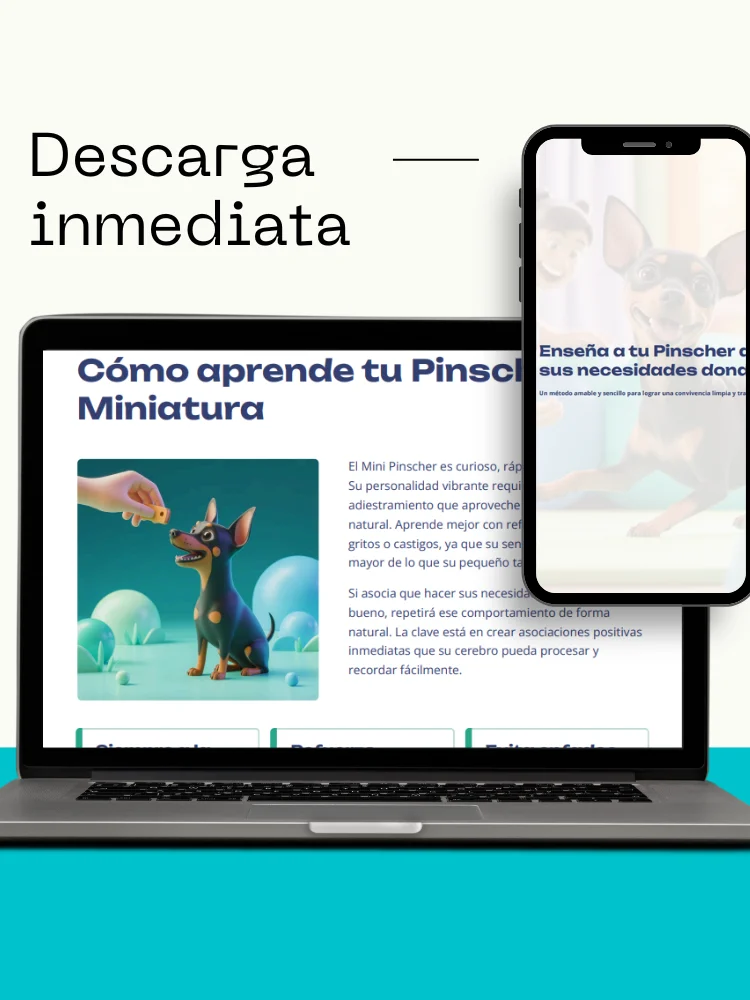 Enseña a tu Pinscher a hacer sus necesidades donde toca product image (2)