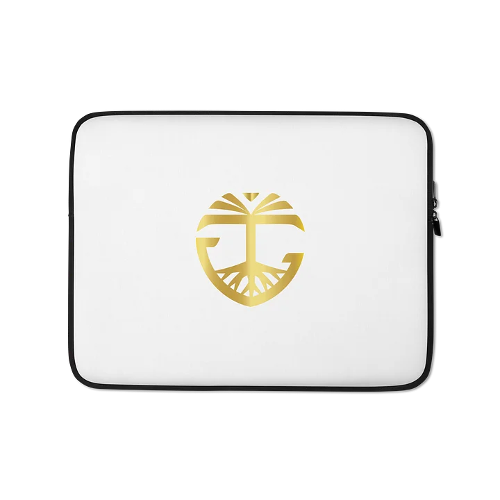 Laptop bag product image (1)