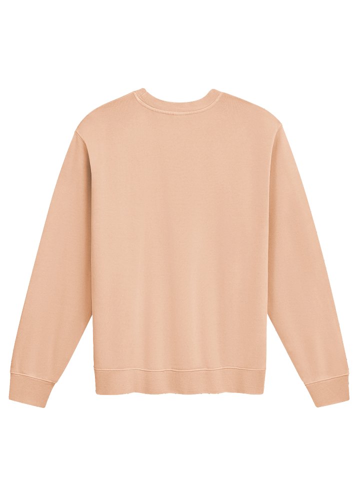 The No Thanks Sweatshirt product image (13)